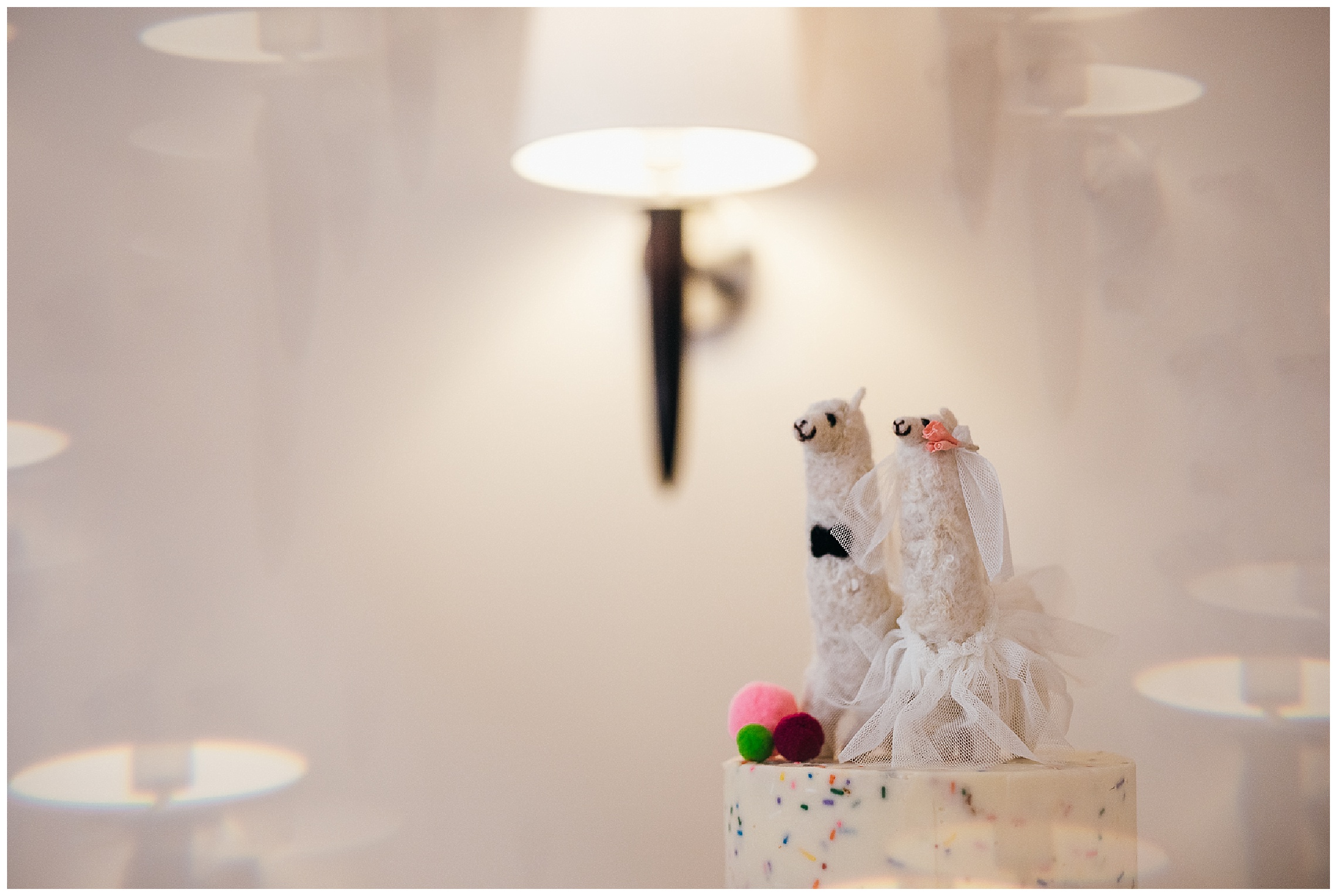 colourful wedding cake finished with confetti and topped with alpacas wearing veil and flowers