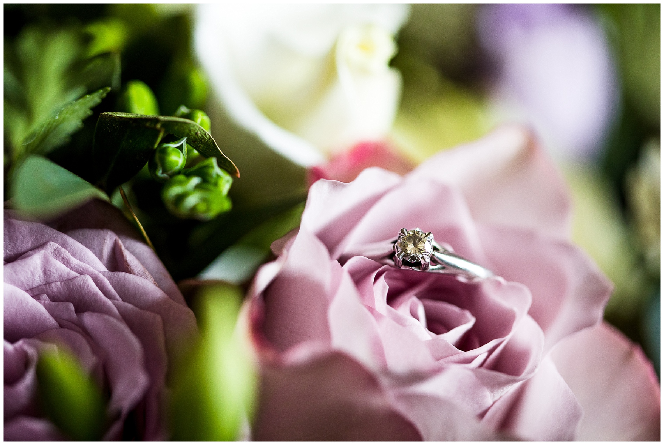 Diamond wedding ring within dusty pink rose