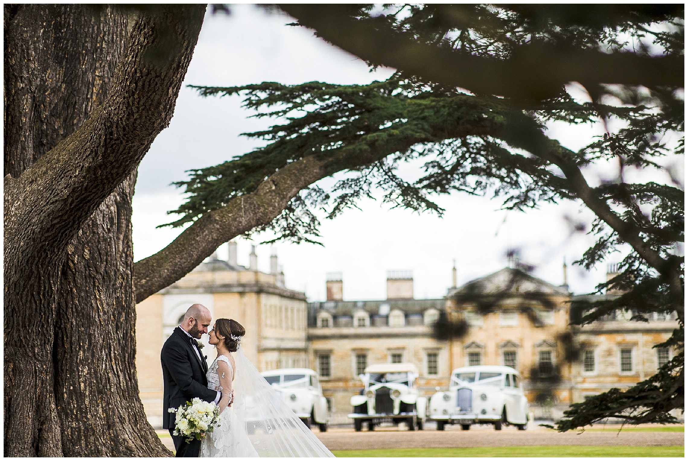 bride and groom under very old tree in front of woburn abbey