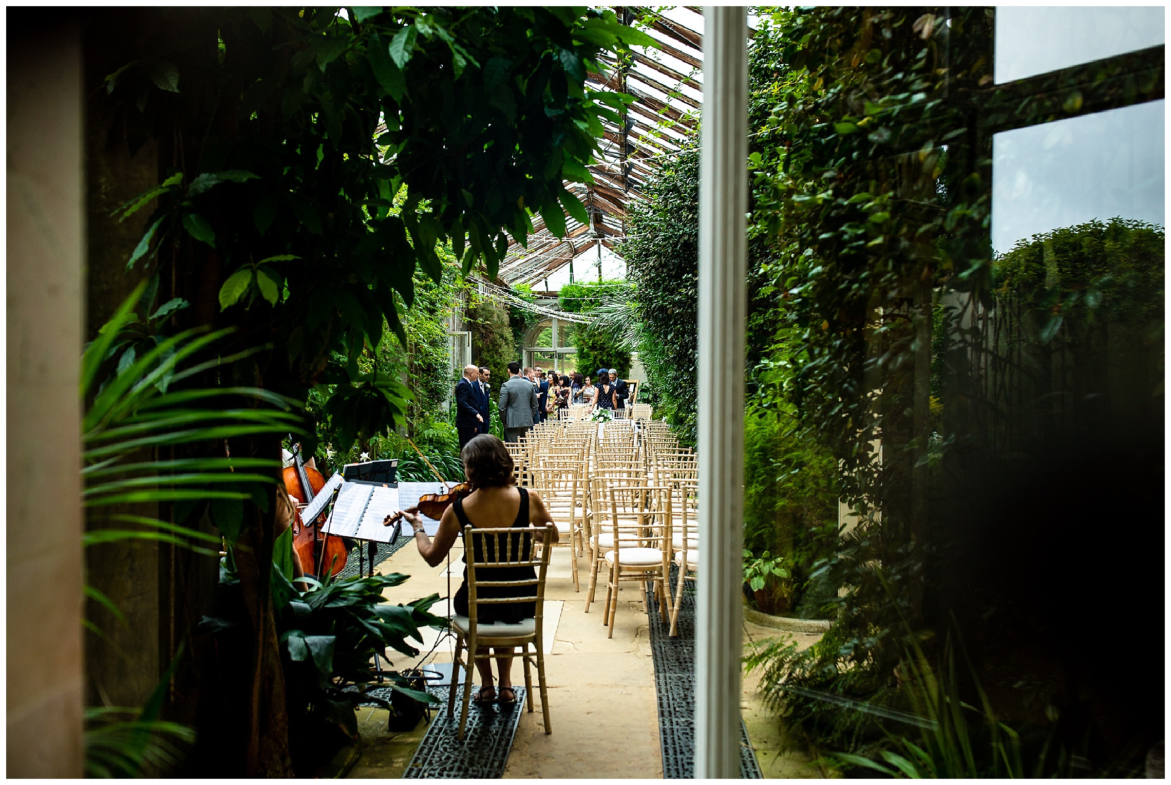 somerleyton hall wedding ceremony conservatory with wooden chairs and greenery
