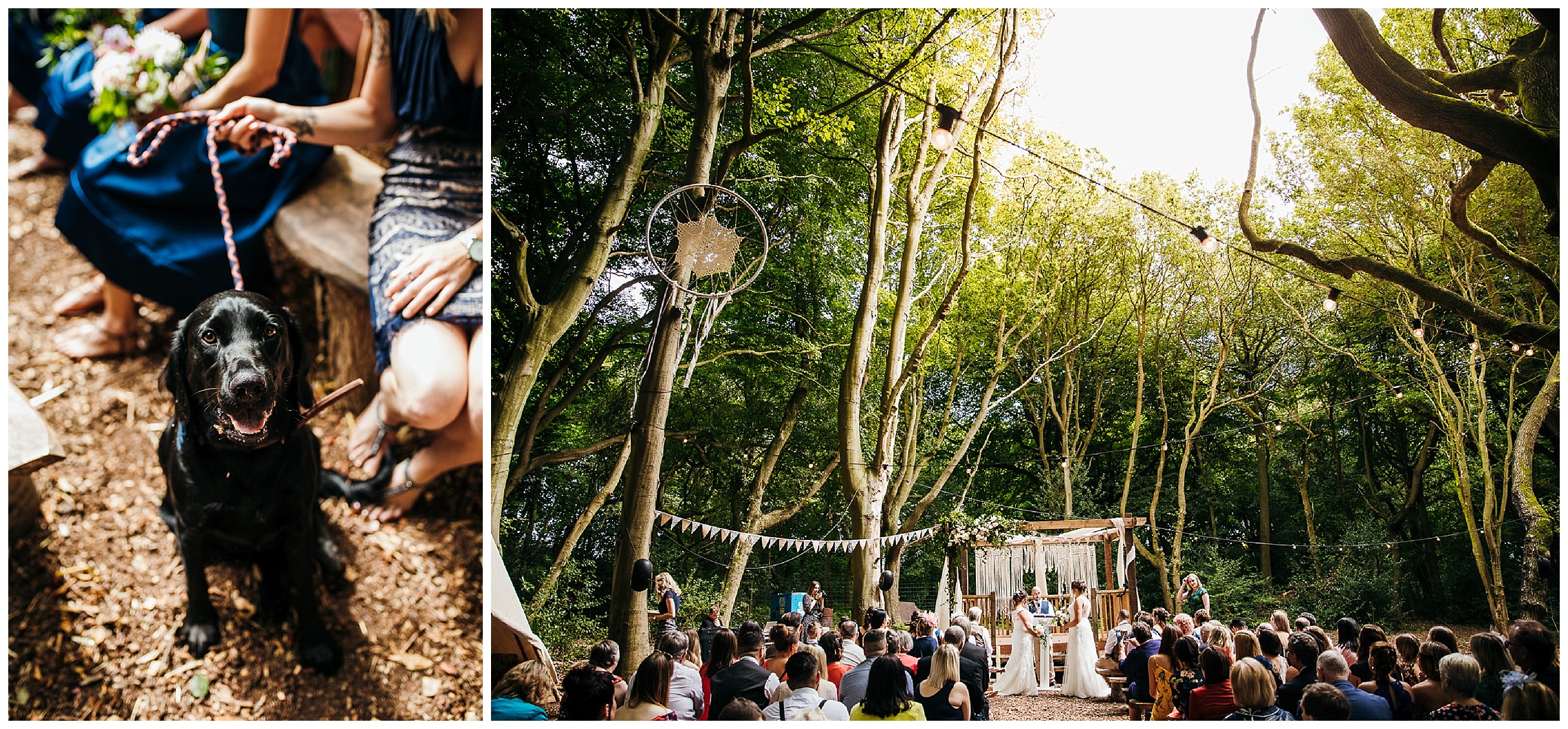 outdoor woodland weddings with black labrador dog in bow tie