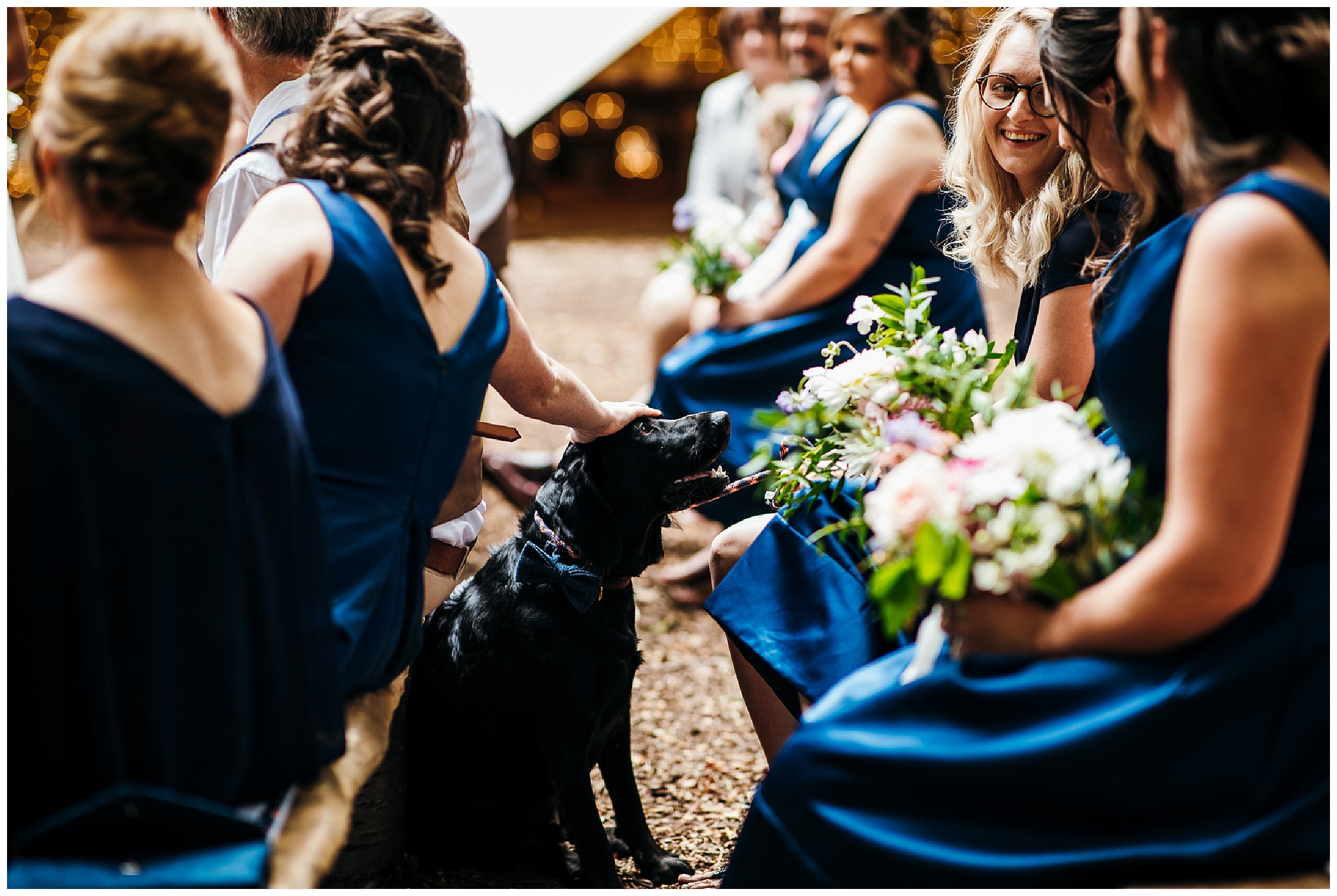 black labrador dog being patted by bridesmaids at outdoor wedding lilas wood