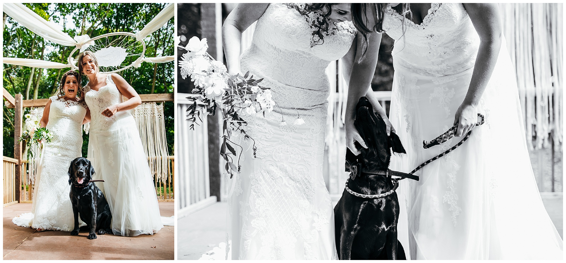 brides stand together with their black labrador dog