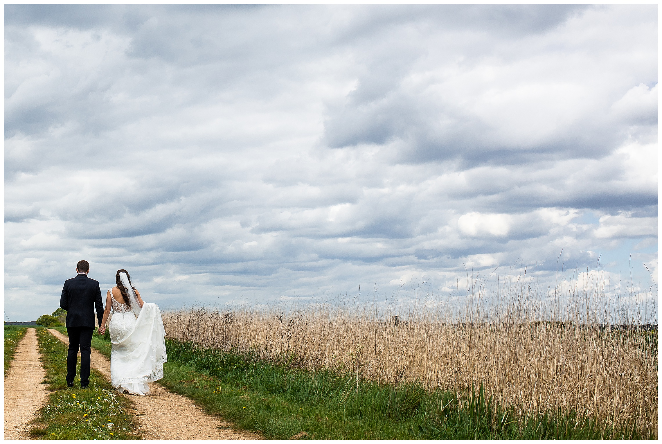 bride and groom walking into wheat fields at bassmead